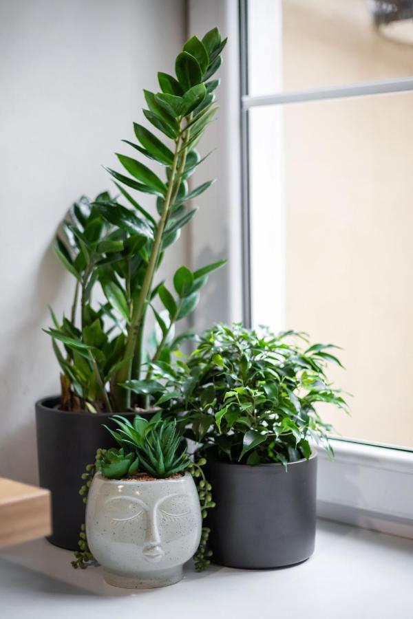 #Stayhere - Cozy 1Bdr Apartment Vilnius Old Town Esterno foto